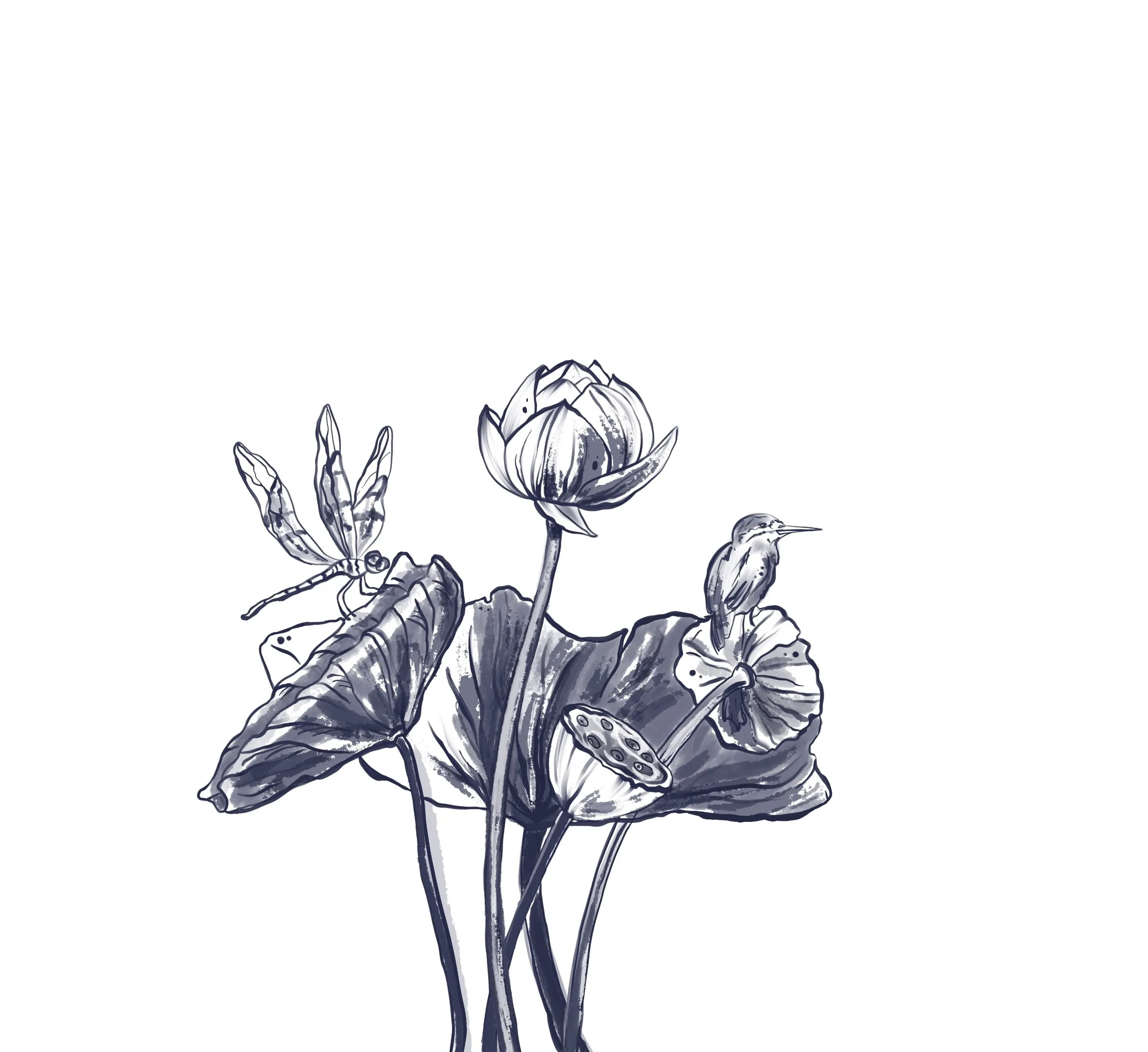 Drawing