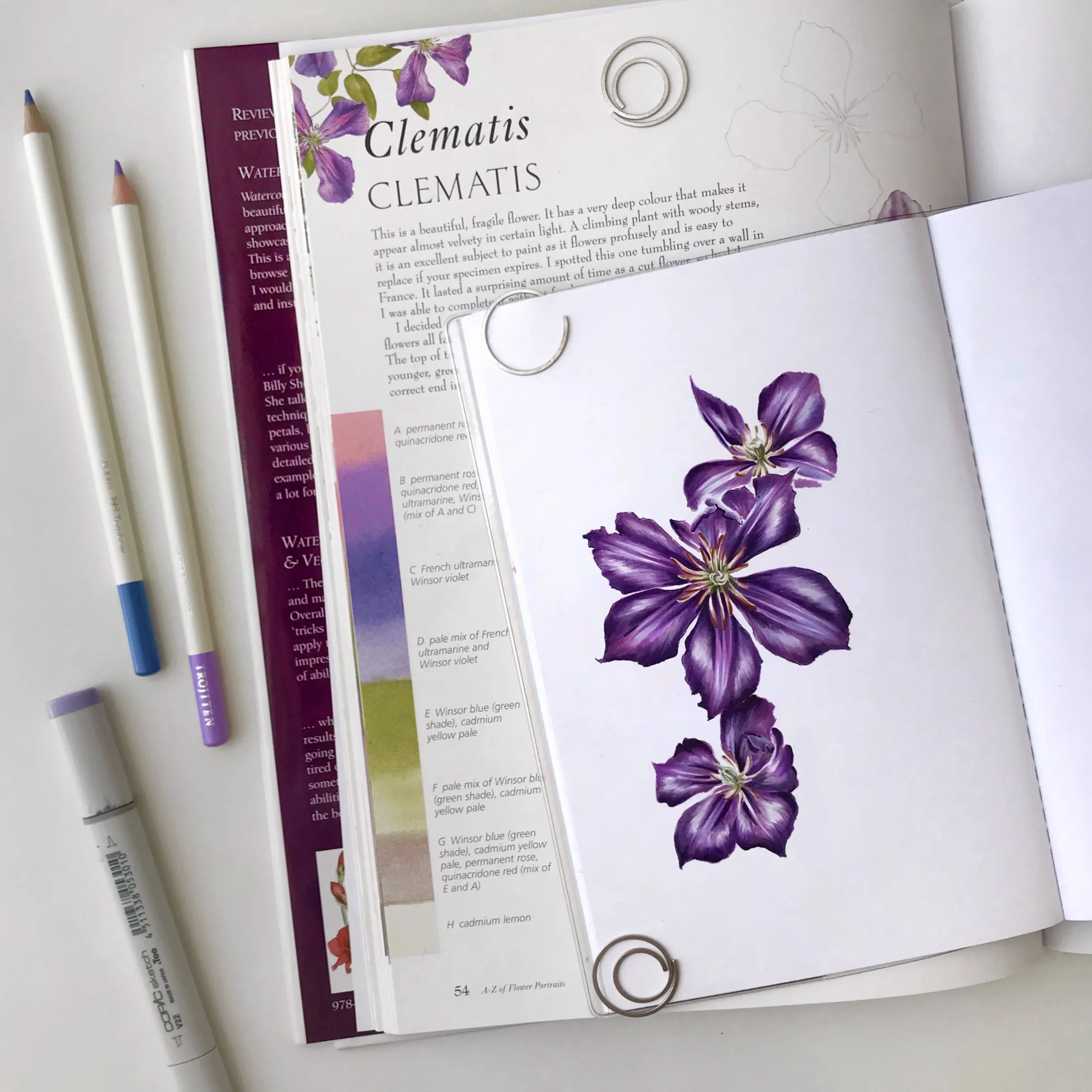 Clematis