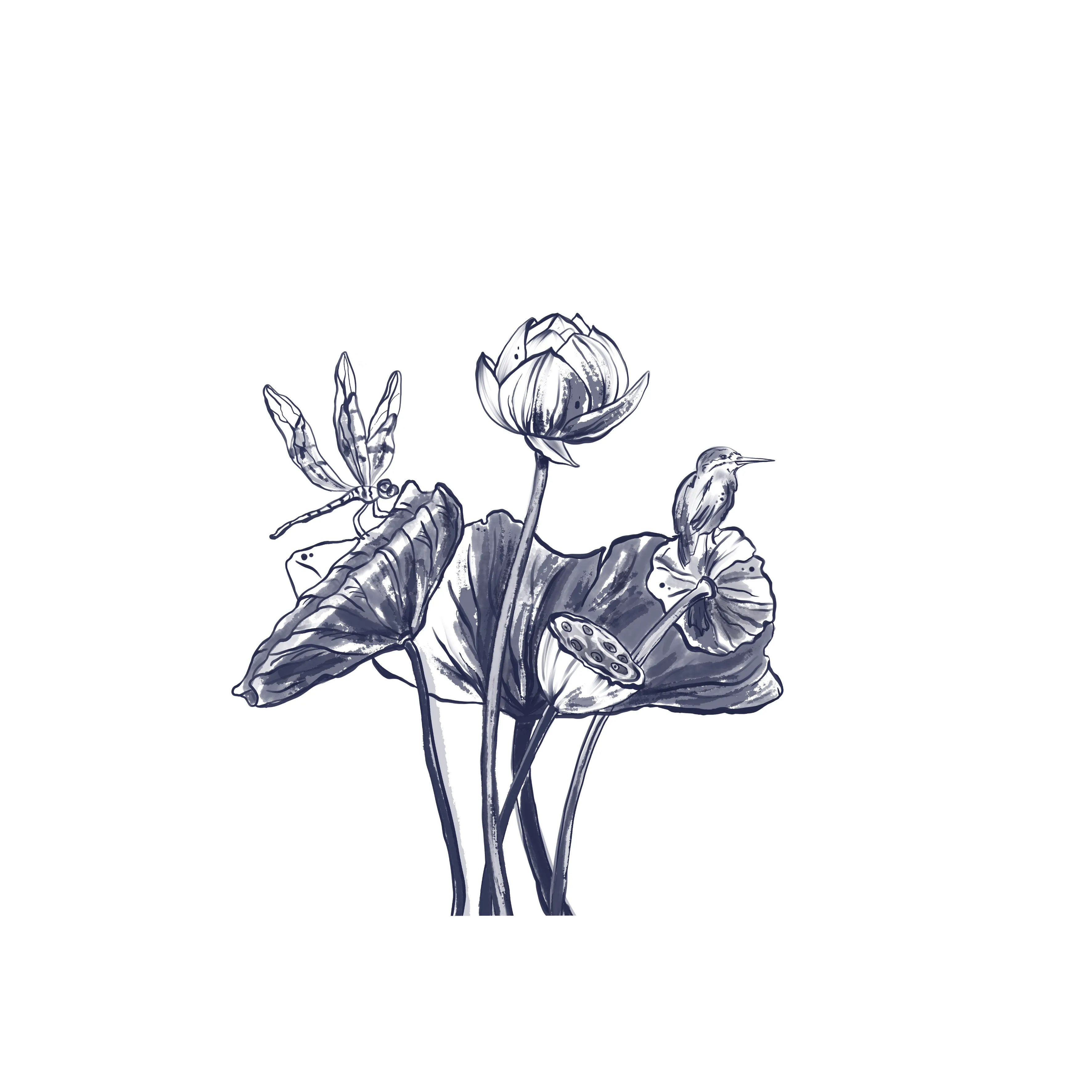 Lotuses and a hummingbird