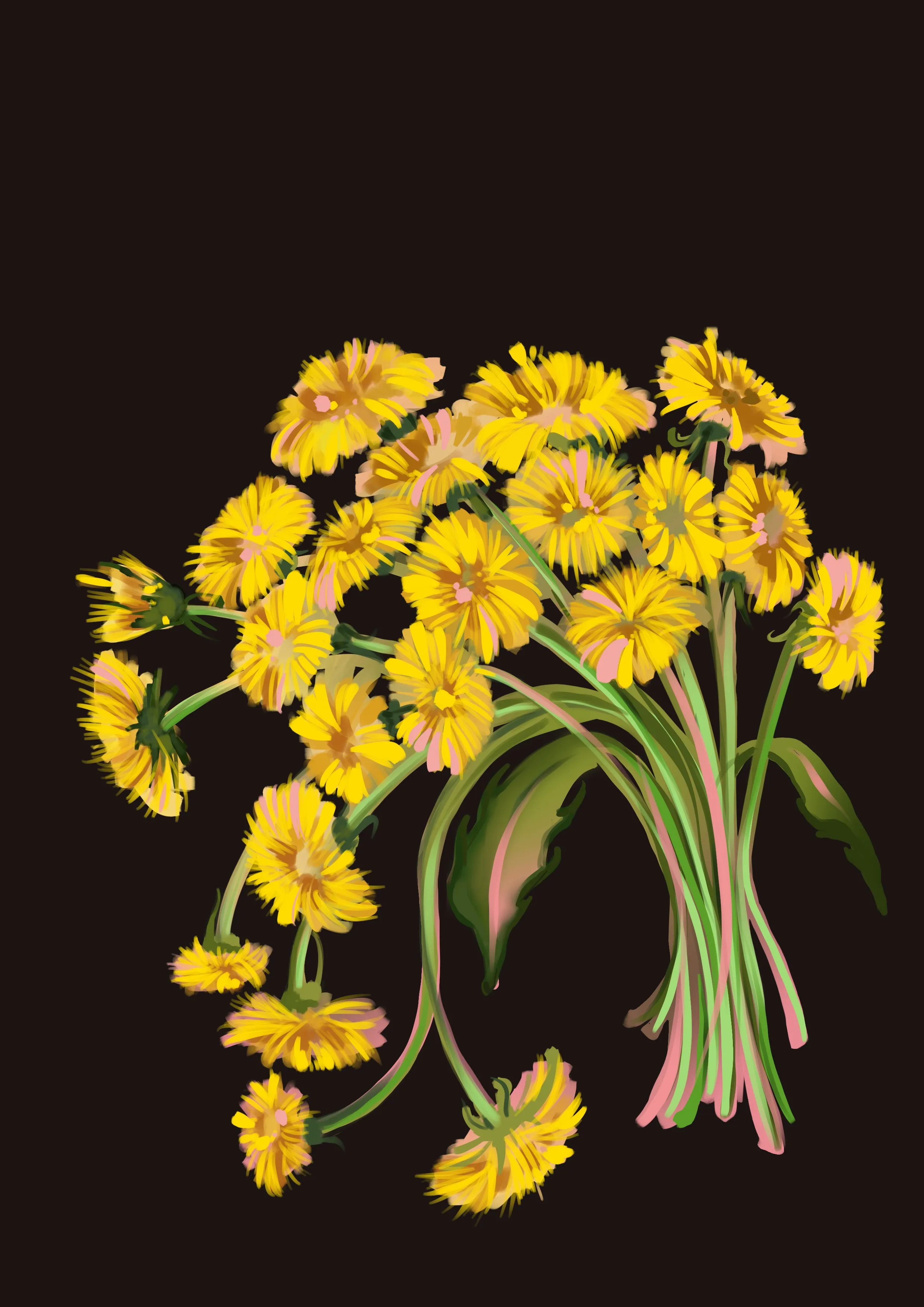 Dandelions